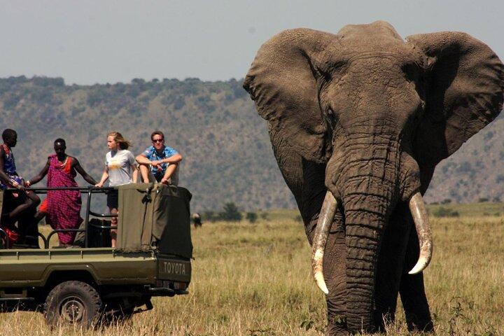 Full Day Hluhluwe Imfolozi Big 5 Game Reserve Tour from Durban