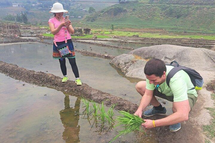 6-Days Sapa Trekking & Ha Giang Loop