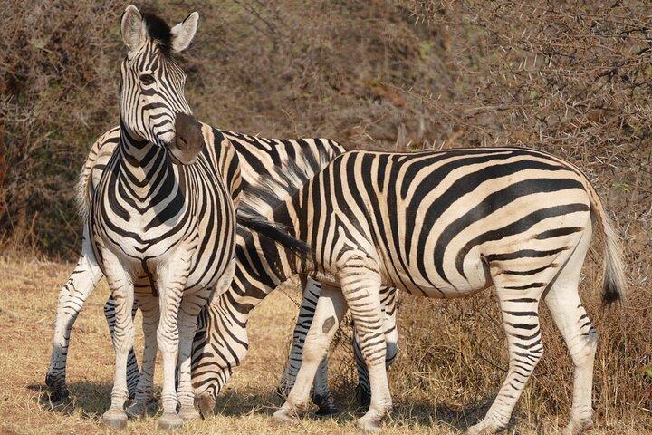 Walking Safari of Mosi-oa-Tunya National park, Livingstone Zambia