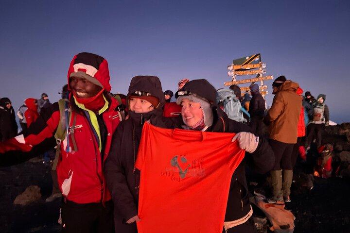 Private 6 Days machame Route climbing