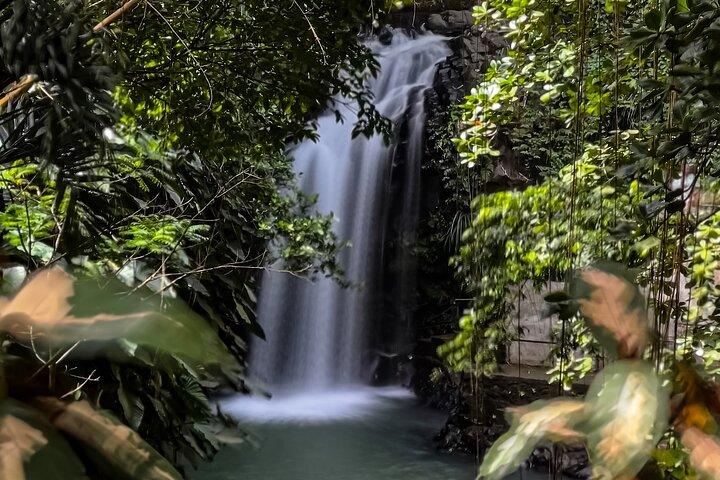 Chasing Waterfalls in Grenada Hike and Adventure Tours