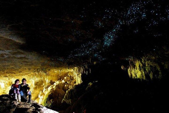 Waitomo Glow Worm Caves Tour from Auckland
