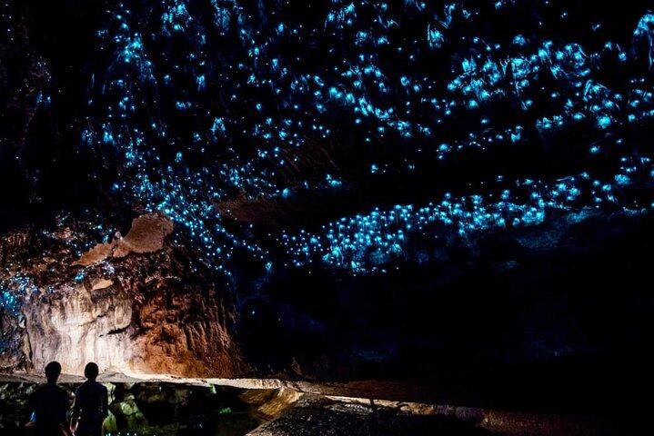 Waitomo Glow Worm Caves Tour from Auckland