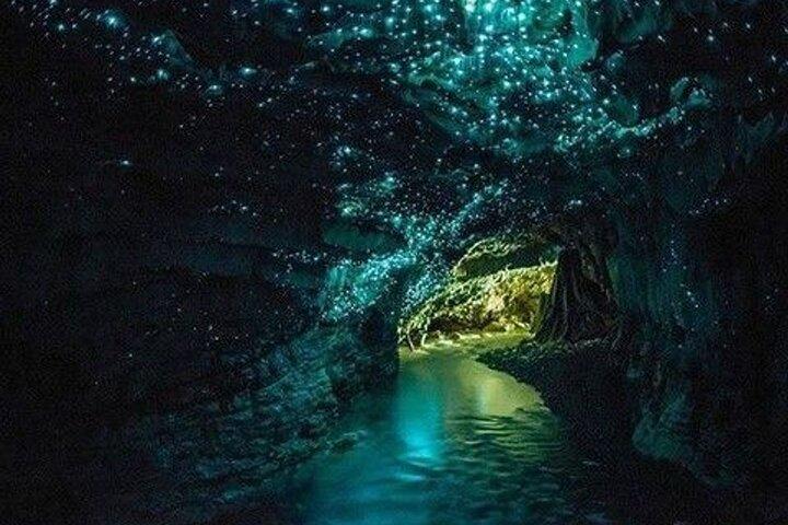 Waitomo Glow Worm Caves Tour from Auckland