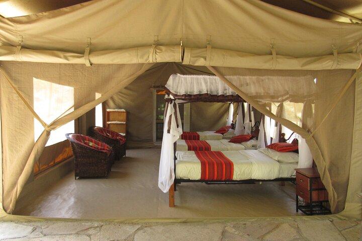 3-Day Masai Mara Big Five Safari