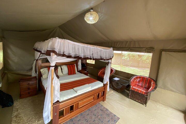 3-Day Masai Mara Big Five Safari