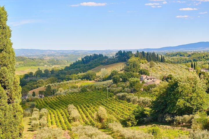 Private Tuscany Tour from Florence Including Siena, San Gimignano and Chianti Wine Region