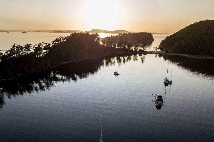 Bioluminescence Kayak Tour in the San Juan Islands