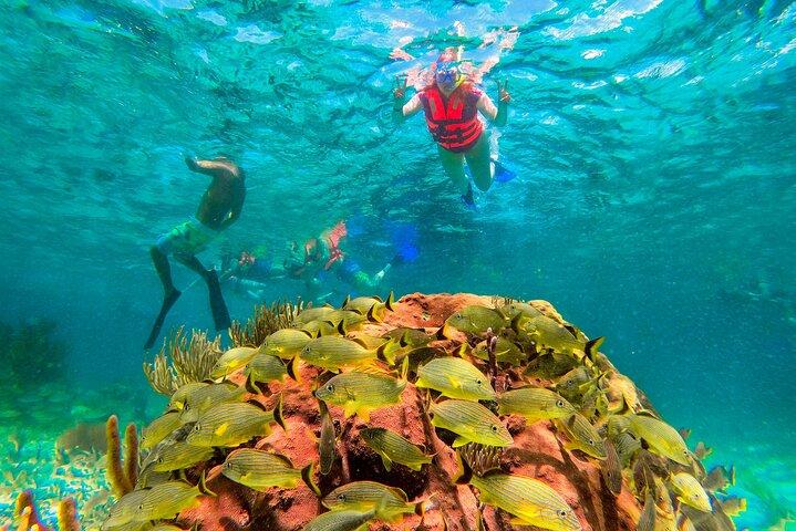 3-in-1 Puerto Morelos: Snorkeling, Tequila & Beachside Lunch