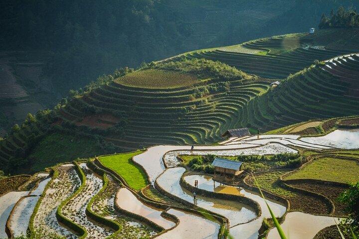 6-Day Private Tour Mu Cang Chai and Sapa from Hanoi