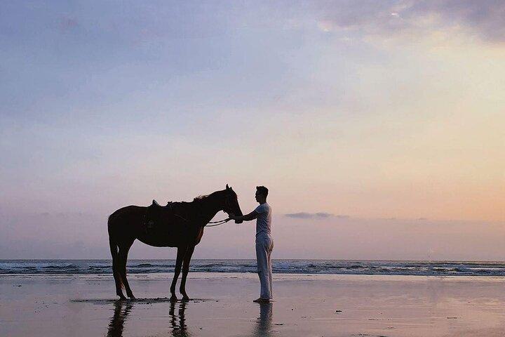 Bali Horse Riding seminyak beach Sunset Ride