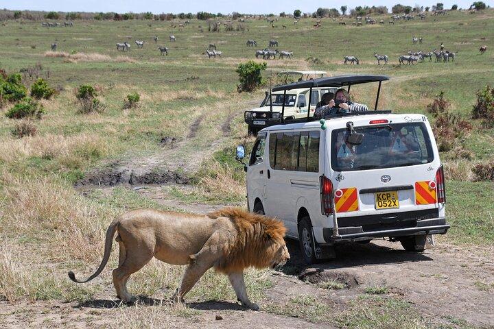 5 Day Tour of Lake Naivasha Lake Nakuru and Masai Mara Reserve