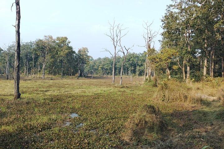 2 Night 3 Days Chitwan Jungle Safari Tour from Kathmandu