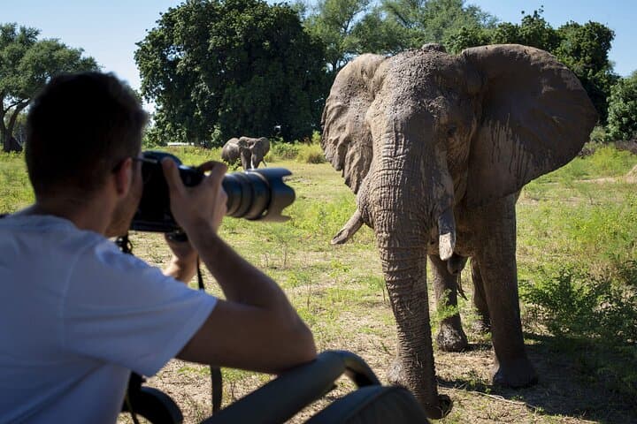 8 Days Kenya Wildlife Photographic Safari