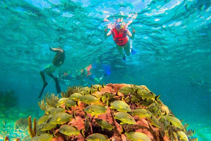Puerto Morelos Snorkel, Town Walk, Tequila Tasting & Beach Lunch