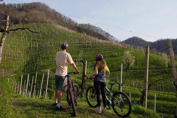 Valdobbiadene e-bike tour amongst vineyards UNESCO Prosecco Hills
