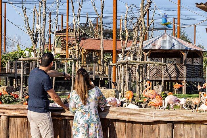 Parrot World Immersive Wildlife Park Entry Ticket next to Paris