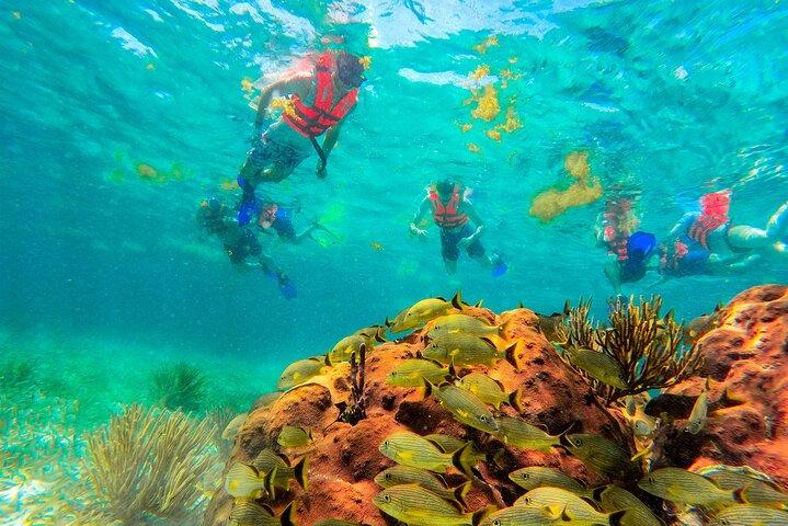 Puerto Morelos Snorkel, Town Walk, Tequila Tasting & Beach Lunch