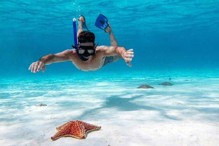 Speed Boat with Snorkeling Adventure of Cancun