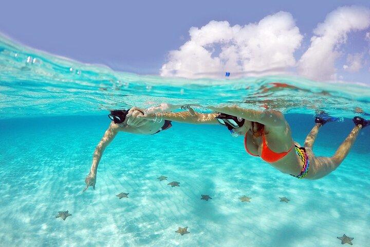 Speed Boat with Snorkeling Adventure of Cancun