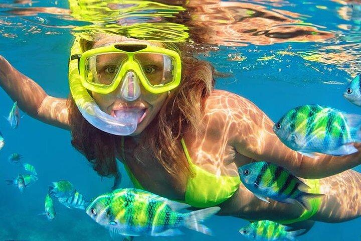 Speed Boat with Snorkeling Adventure of Cancun