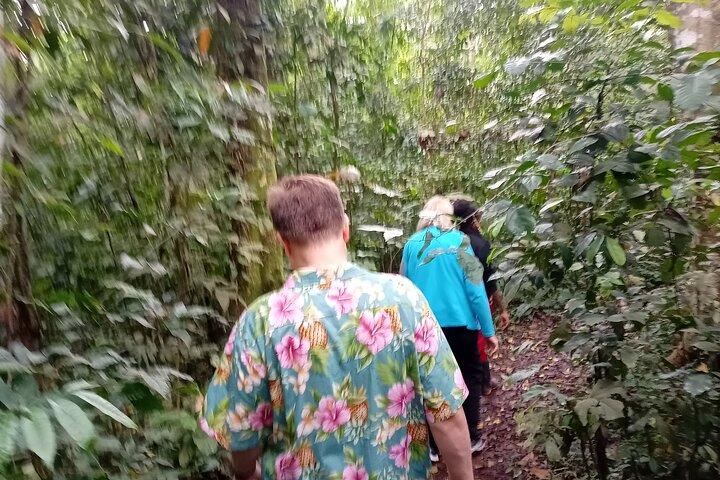 Best Jinja source of the River Nile day experience