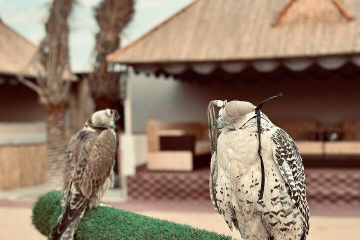 Abu Dhabi: 7-Hours Desert Safari with BBQ, Camel Ride & Sandboarding