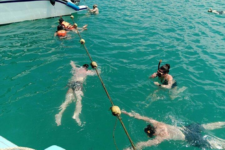 Koh Samui Island Hopping Adventure in Coral and Pig Island