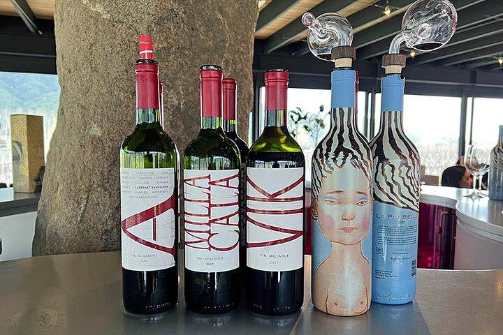 Private Colchagua VIK and Montes Wineries Experience