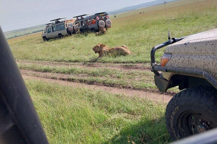 7 Days from Nairobi to Amboseli, Naivasha, Nakuru, Masai and Mara