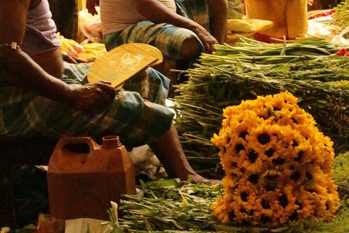 Chasing The Sun Experience Kolkata's Culture