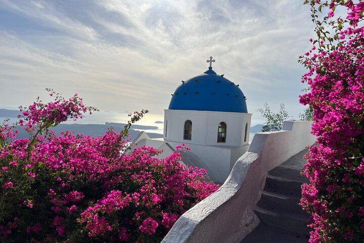 Stress Free - Luxury Private tour : Cruise Port pick up included