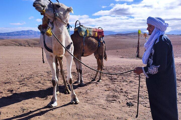 Marrakech Desert Dinner Show & sunset camel ride - Authentic