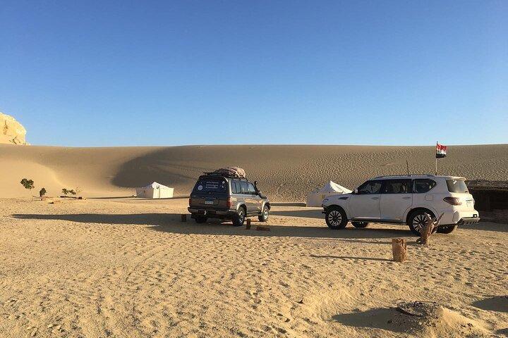 Full Day Fayoum Oasis Private Tour by Jeep from Cairo or Giza