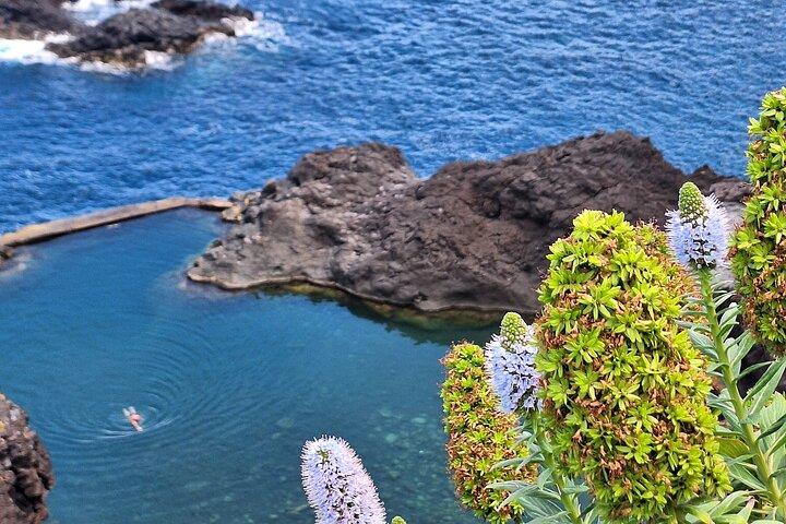Private Madeira Island Tour: The Most Complete 8-Hour Experience