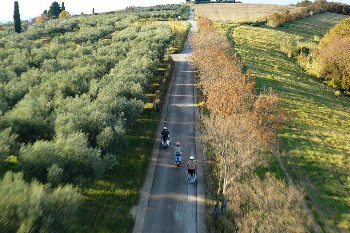 Half Day Vespa Countryside Tour and Tastings in Istria