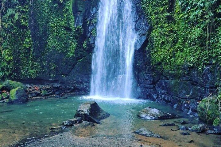 Ubud Private Tour: Tirta Empul, Rice Terrace & Monkey Forest