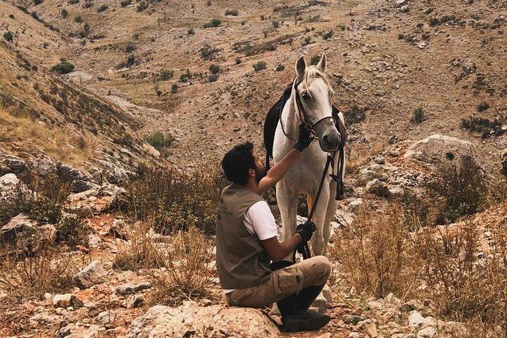 Lebanon Mountains Horseback Riding From Beirut