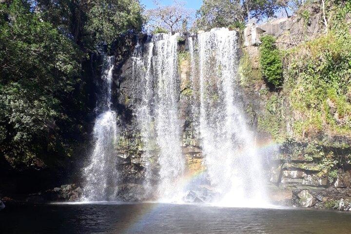 Private Tour to Llanos de Cortés Falls and Rainforest