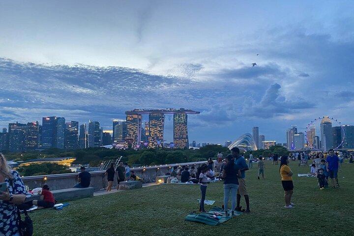 Private Tour Singapore Nighttime sightseeing + River Cruise