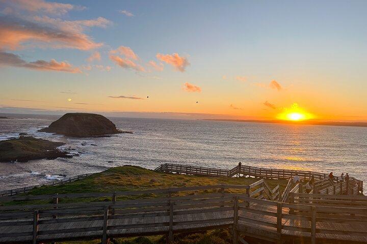 Puffing Billy and Phillip Island Day Tour(Melbourne Chinese Tour)