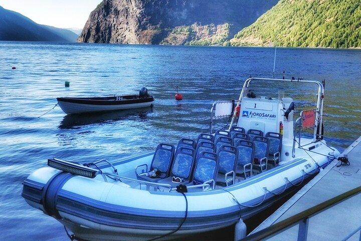 Private Day Tour to Flåm, incl RIB Sognefjord Safari Flåm Railway