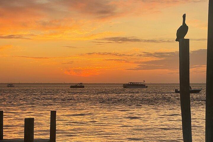 Sunset Dolphin Cruise
