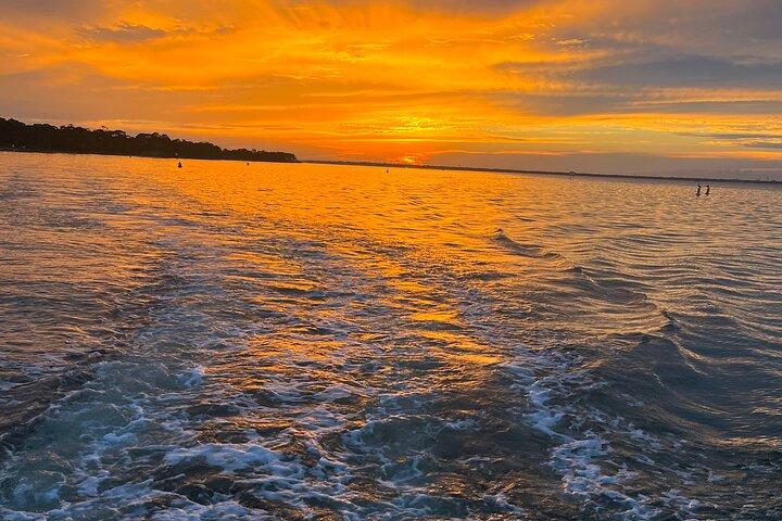 Sunset Dolphin Cruise