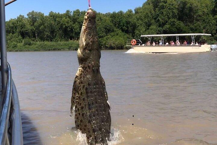 Darwin: Pathfinder Original Jumping Crocodile Cruise