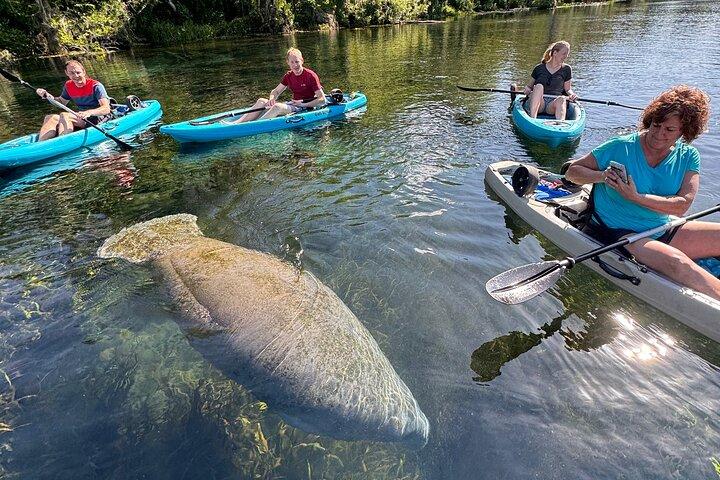 Silver Springs Glass Bottom Kayak SMALL GROUP Wildlife Tour
