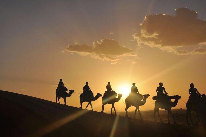 Agafay berber night; Camel Ride and Dinner Show