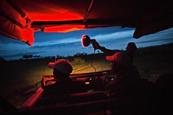 5-day Night safari adventure across iconic Lake Manyara, Crater