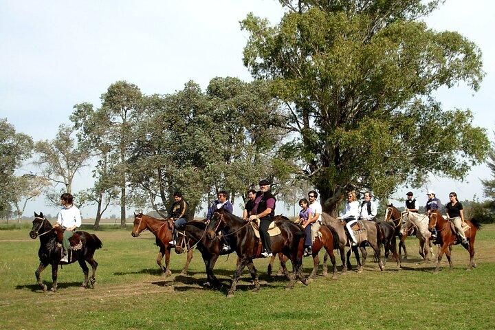 Gaucho Experience: A Day Trip to Don Silvano Ranch