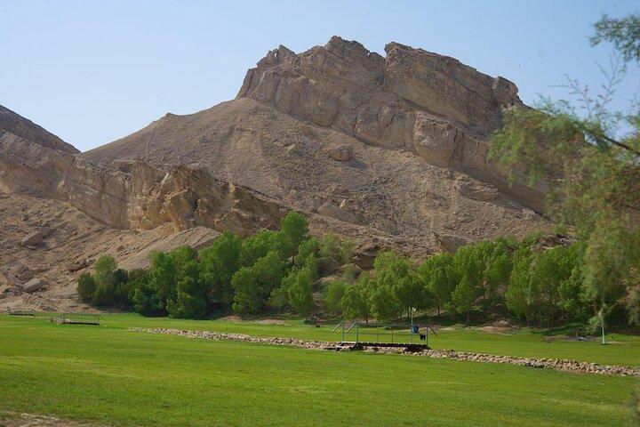 Private Al Ain City Tour with traditional Lunch